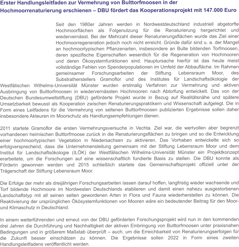 Erster Handlungsleitfaden zur Vermehrung von Bulttorfmoosen in der Hochmoorrenaturierung erschienen – DBU fördert das Kooperationsprojekt mit 147.000 Euro  Seit den 1980er Jahren werden in Nordwestdeutschland industriell abgetorfte Hochmoorflächen als Folgenutzung für die Renaturierung hergerichtet und wiedervernässt. Bei der Mehrzahl dieser Renaturierungsflächen wurde das Ziel einer Hochmoorregeneration jedoch noch nicht erreicht. Gründe dafür sind u. a. der Mangel an hochmoortypischen Pflanzenarten, insbesondere an Bulte bildenden Torfmoosen, deren spezifische Eigenschaften wesentlich für die Regeneration von Hochmooren und deren Ökosystemfunktionen sind. Hauptursache hierfür ist das heute meist vollständige Fehlen von Spenderpopulationen im Umfeld der Abbaufläche. Im Rahmen gemeinsamer Forschungsarbeiten der Stiftung Lebensraum Moor, des Substratherstellers Gramoflor und des Institutes für Landschaftsökologie der Westfälischen Wilhelms-Universität Münster wurden erstmalig Verfahren zur Vermehrung und aktiven Ausbringung von Bulttorfmoosen in wiedervernässten Hochmooren nach Abtorfung entwickelt. Das von der Deutschen Bundesumweltstiftung (DBU) geförderte Projekt wurde in Bezug auf Realitätsnähe und spätere Umsetzbarkeit bewusst als Kooperation zwischen Renaturierungspraktikern und Wissenschaft aufgelegt. Die in Form eines Leitfadens für die Vermehrung von seltenen Bulttorfmoosen publizierten Ergebnisse sollen daher insbesondere Akteuren im Moorschutz als Handlungsempfehlungen dienen.  2011 startete Gramoflor die ersten Vermehrungsversuche in Vechta. Ziel war, die wertvollen aber begrenzt vorhandenen heimischen Bulttorfmoose zurück in die Renaturierungsflächen zu bringen und so die Entwicklung einer hochmoortypischen Vegetation in Niedersachsen zu aktivieren. Das Vorhaben entwickelte sich so erfolgversprechend, dass die Unternehmensleitung gemeinsam mit der Stiftung Lebensraum Moor und dem Institut für Landschaftsökologie (ILÖK) der Westfälischen Wilhelms-Universität Münster ein Projektkonzept erarbeitete, um die Forschungen auf eine wissenschaftlich fundierte Basis zu stellen. Die DBU konnte als Förderin gewonnen werden und 2015 schließlich startete das Gemeinschaftsprojekt offiziell unter der Trägerschaft der Stiftung Lebensraum Moor.  Die Erfolge der mehr als dreijährigen Forschungsarbeiten lassen darauf hoffen, langfristig wieder wachsende und Torf bildende Hochmoore im Nordwesten Deutschlands etablieren und damit einen nahezu ausgestorbenen Landschaftstyp mit all seinen selten gewordenen Arten in Flora und Fauna wiederherstellen zu können. Die Reaktivierung der ursprünglichen Ökösystemfunktionen von Mooren wäre ein bedeutender Beitrag für den Moor- und Klimaschutz in Deutschland.  In einem weiterführenden und erneut von der DBU geförderten Forschungsprojekt wird nun in den kommenden drei Jahren die Durchführung und Nachhaltigkeit der aktiven Einbringung von Bulttorfmoosen unter praxisnahen Bedingungen und in größerem Maßstab überprüft – auch, um die Erreichbarkeit von Renaturierungserfolgen für die Zukunft besser einschätzen zu können. Die Ergebnisse sollen 2022 in Form eines zweiten Handlungsleitfadens veröffentlicht werden.